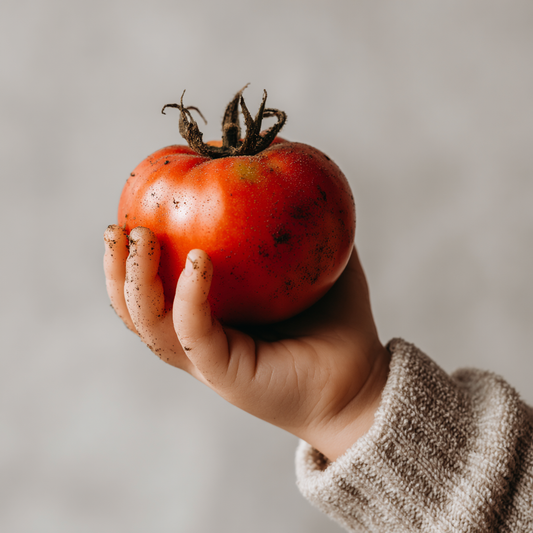 Mortgage Lifter Seeds